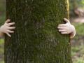 Un joven se abraza a un árbol