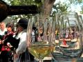 La fiesta del Albariño