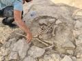 Un investigador, junto al esqueleto infantil hallado en Ribarroja del Turia