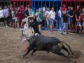 Los bous al carrer en la localidad castellonense de L'Alcora