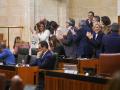 La bancada socialista aplaude en pie la investidura de Pedro Sánchez en pleno debate del presupuesto