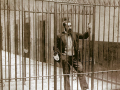 Sabino Arana en prisión en 1895