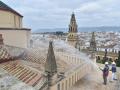 Simulacro de incendio en la Mezquita Catedral