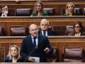 El portavoz del PP en el Congreso, Miguel Tellado