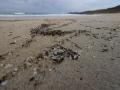 Los microplásticos llegan a la playa de Doniños, en Ferrol