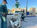 Agentes de la Guardia Civil con los restos óseos de la ballena en el Puerto de Villajoyosa