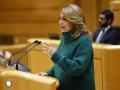 La diputada de Coalición Canaria, Cristina Valido, este miércoles en el Senado