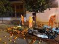 Máquina vibradora usada por Sadeco para la recogida de la naranja