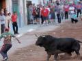 Un festejo de los bous al carrer, una de las grandes tradiciones taurinas valencianas