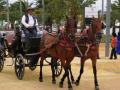 Carros de caballos Feria de Sevilla