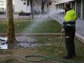 Operarios del Ayuntamiento de Barcelona riegan con agua freática, el denominado riego de supervivencia