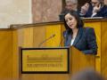 La diputada de Vox Mercedes Rodríguez, durante el pasado pleno del Parlamento de Andalucía