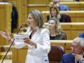 La portavoz del PP en el Senado, Alicia García