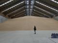 Grano almacenado en la terminal agroalimentaria de TMG en Langosteira