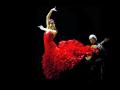 Show flamenco en Madrid