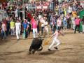 Bous al carrer en Onda