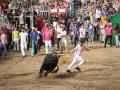 Bous al carrer en Onda