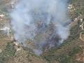 En unas pocas horas, los efectivos forestales pudieron controlar las llamas