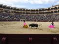 Sebastián Castella lidia su segundo toro