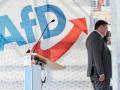 Maximilian Krah, líder de AfD