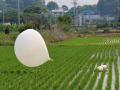 Globo norcoreano cargado de basura sobre un campo de arroz en Corea del Sur