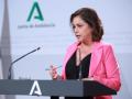 La consejera de Salud y Consumo, Catalina García, en la rueda de prensa de presentación del plan de verano del SAS
