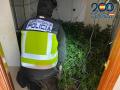 La existencia de estas plantaciones suponía para los vecinos numerosos cortes de la luz