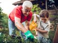 El 15% de los ancianos en España sufre algún episodio de deshidratación en el período estival