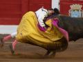 El novillero Marco Pérez es cogido en su faena
