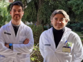 Investigadores de la CEU UCH de Valencia