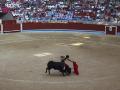 Imagen de archivo de la Plaza de Toros de Pontevedra, en una corrida de la feria Virgen peregrina de 2016