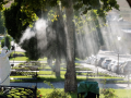 Un operario fumiga unos jardines