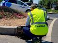 Emacsa adelanta la limpieza de imbornales