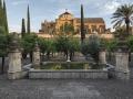 Patio de los Naranjos de la Mezquita Catedral de Córdoba
