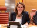 La vicepresidenta tercera y ministra para la Transición Ecológica y el Reto Demográfico, Teresa Ribera