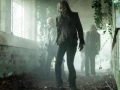 The walked Dead