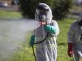 Dos trabajadores durante las labores de fumigación contra los mosquitos causantes del virus del Nilo en Coria del Río