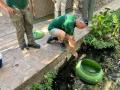 Reintroducen 300 ejemplares de salinetes en el Zoo de Córdoba