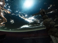 El bólido, visto desde la Estación Espacial Internacional