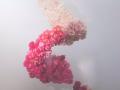 06/09/2024 Obra de la artista alemana Carolin Ruggaber.
POLITICA ANDALUCÍA ESPAÑA EUROPA EUROPA EUROPA CÓRDOBA CULTURA ESPAÑA ALEMANIA
FLORA