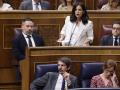 La portavoz de Vox en el Congreso, Pepa Millán, interviene en la sesión de control al gobierno este miércoles