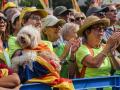 Decenas de personas durante la manifestación de ACN por la Diada, a 11 de septiembre de 2024, en Barcelona, Catalunya (España). Assemblea Nacional Catalana (ANC), Òmnium Cultural, Associació de Municipis per la Independència (AMI), Consell de la República, La Intersindical, CIEMEN y CDR, entidades organizadoras de las manifestaciones de la Diada de Catalunya, han instado a la "movilización multitudinaria" en el primer 11 de septiembre sin un presidente independentista al frente de la Generalitat desde hace 12 años.

Alberto Paredes / Europa Press
11 SEPTIEMBRE 2024;DIADA;11S;CATALUÑA;ESTELADA;
11/9/2024