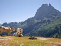 Valles y montañas de los Pirineos Atlánticos franceses