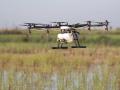 Un dron interviene en la campaña contra el virus del Nilo