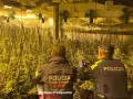 Mossos d'Esquadra en una plantación ilegal de marihuana, en una imagen de archivo
