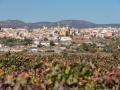 Imagen de Requena, el pueblo más extenso de la Comunidad Valenciana y situado en la provincia de Valencia