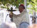 El obispo, Demetrio Fernández, oficia la misa del día de Todos los Santos en el cementerio de San Rafael