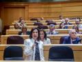 Robles durante su intervención en el Senado