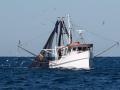 Barco pesquero andaluz