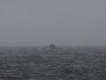 El submarino ruso Novorossiysk en superficie, detectado por la Armada española